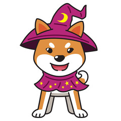 Cartoon shiba inu dog with halloween costume for design.