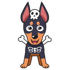 Cartoon doberman dog with halloween costume for design.
