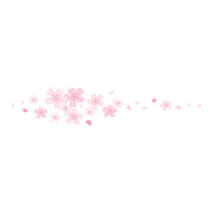 Fototapeta na wymiar cherry blossom petals border illustration