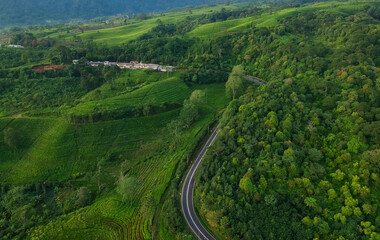 Fototapeta na wymiar Aerial view of asphalt road, top view panorama shot from drone. The highway road among tea plantations in the mountains. Trip by car, gloomy weather, wet asphalt, green fields. Aerial view of highway 