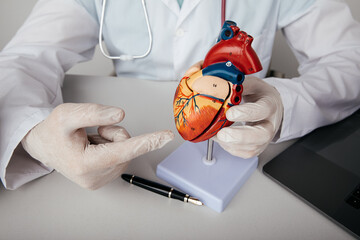Cardiology consultation, treatment of heart disease. Doctor cardiologist showing anatomical model of human heart
