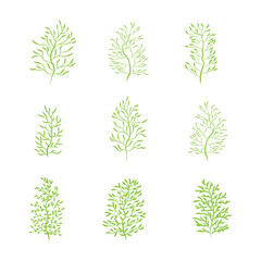 Green leafy plant with decorative art isolated vector illustration.