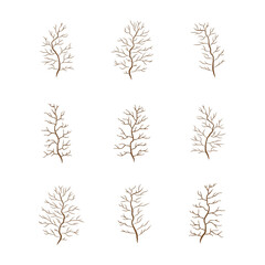 A set of brown trees or branch without leaves vector illustration.