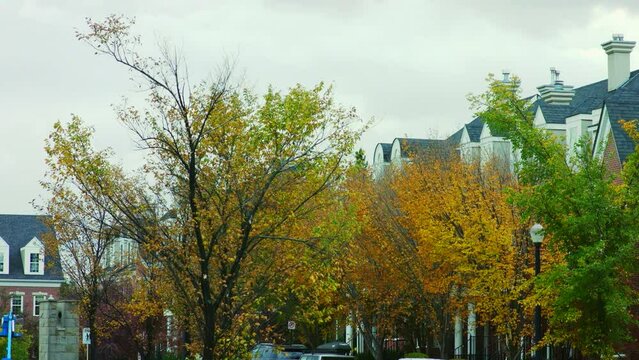 Tilt up shot over the alley with yellow and red trees in Marda Loop, Calgary