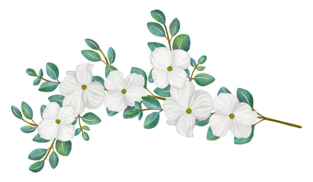 white flowers and green leaves watercolor clip art preview