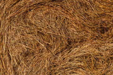 A close-up shot of a large bail of hay