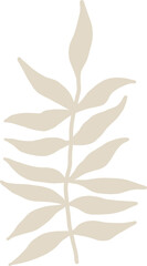 Beautiful png floral illustration with drawn flower. Stock clip art. Fern