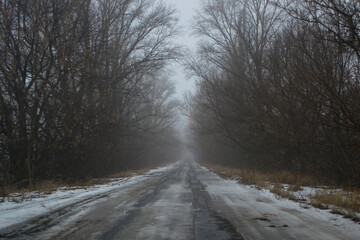 Fototapeta premium Autumn landscape, road going into the distance, foggy boring morning