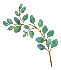 Green leaves,watercolor illustration.