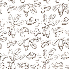 Vector seamless pattern with cashew on a white background. Vegan food illustration.