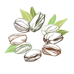 Pistachios and leaves. Round background. Hand drawn vector illustration.