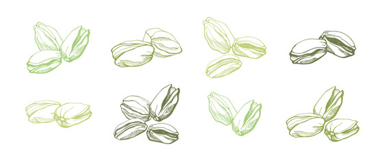 Set of  pistachios on white background. Hand drawn vector illustration.
