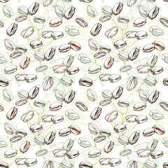 Vector seamless pattern with pistachios. Vegan food illustration.