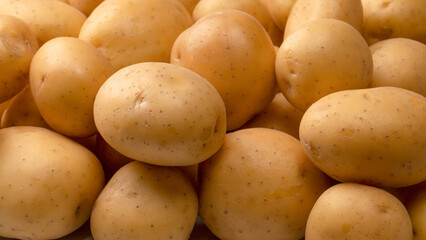 A group of fresh tasty potato as  background.