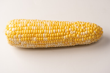 Yellow sweet corn isolated on white background. Copyspace.