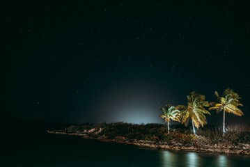 Nachtlandschap van tropisch eiland met palmbomen aan de kust onder de sterrenhemel in Exuma, Bahama& 39 s