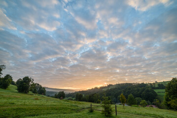 Obraz premium Idyllic landscape with green meadows and blooming flowers and mountain tops in background. Carpathians in Ukraine. Panorama with morning and evening fog. Mountains with forest at sunset or sunrise.