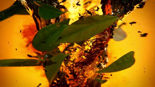 Super Slow Motion Shot of Leaching Tea with Green Leaves in a Whirl at 1000fps.