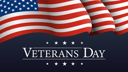 Fototapeta premium Veterans Day USA