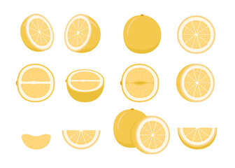 Set of ripe fruit pomelo - whole, cut half, piece and slice chopped. Fresh sour tropical exotic citrus fruit with vitamins. Pummelo or shaddock. Vector illustration