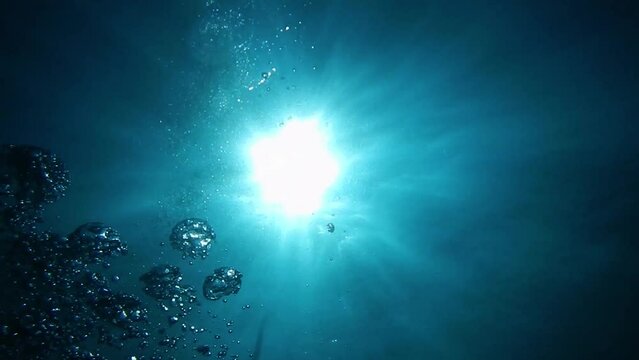 bubble under the sea 1_1