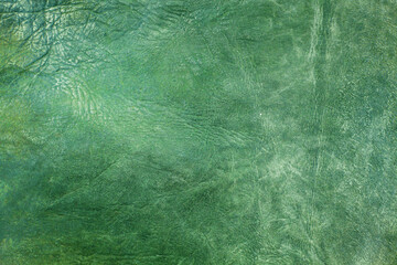 Beautiful green background with leather texture