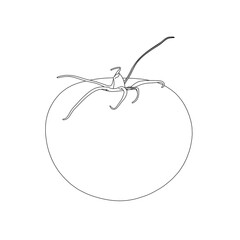 Outline of a tomato from black lines isolated on a white background. Vector illustration.