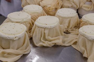 Wheels of the cheese in cheesecloth.