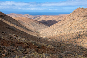 Fototapeta na wymiar Spectacular landscape and desert of the volcanic island of Fuerteventura with the ocean in the background, Canary Islands