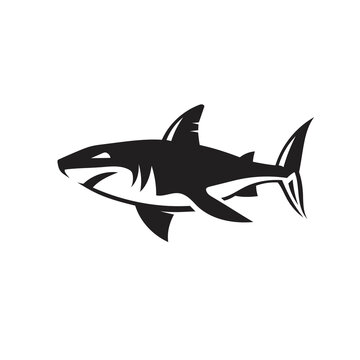 abstract simple shark vector