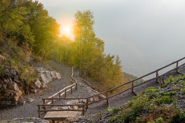 Protective palisade o