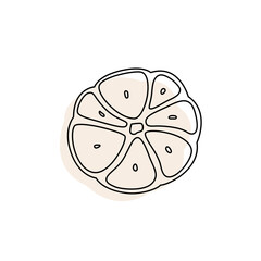 Doodle outline cut slice garlic with spot. Vector hand-drawn illustration for packing isolated on transparent background