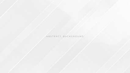 Abstract light gray and white line curve smooth modern wave texture with space background vector illustration