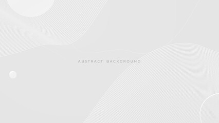 Abstract light gray and white line curve smooth modern wave texture with space background vector illustration