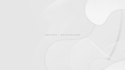 Abstract light gray and white line curve smooth modern wave texture with space background vector illustration
