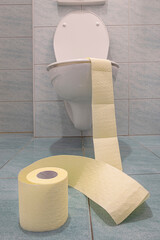White toilet bowl with toilet paper.