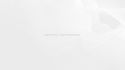Abstract light gray and white line curve smooth modern wave texture with space background vector illustration
