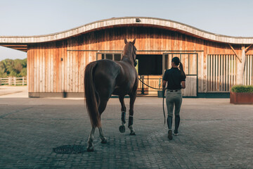 back view of professional female equestrian at modern stables with her horse