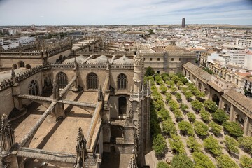 Naklejka premium Arial shot of the cathedral Patio de los naranjos and the historical buildings of Seville, Spain