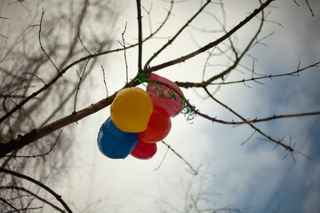 Balloons on tree. Ball stuck on branch. Remnants of holiday.