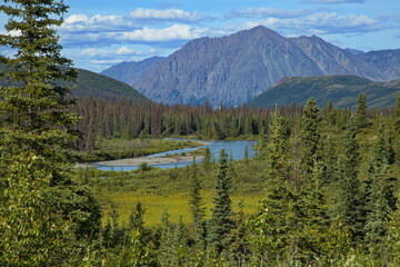 Landscape at Chulitna River in Denali National Park and Preserve,Alaska,United States,North America
