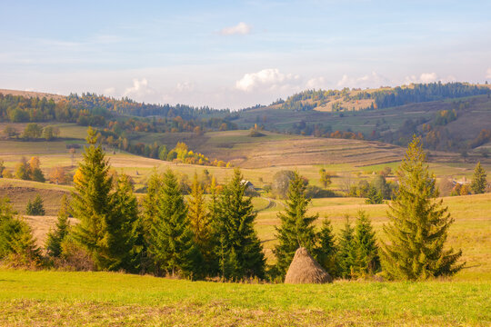 countryside mountain landscape. rural fields, pastures and trees on rolling hills. transcarpathian scenery of volovets region on a sunny autumn day
