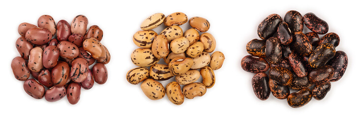 brown kidney bean isolated on white background. Top view. Flat lay