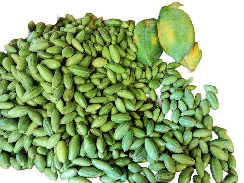 Pointed gourd and Papaya isolated