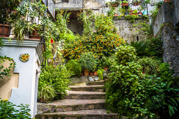 Fototapeta premium narrow streets full of greenery and neglected buildings of Orsomarso 