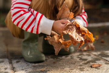 the little girl is holding a bouquet of autumn leaves in the park