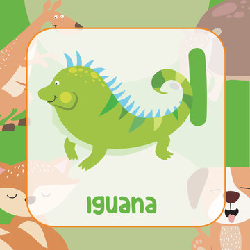 Animals alphabet flashcard for toddlers. Learning card introducing letters to children through game card. Cute animal vector design. 