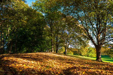Naklejka premium Herbstliche Impressionen im Kieler Werftpark im Sonnenlicht