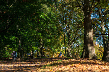 Herbstliche Impressionen im Kieler Werftpark im Sonnenlicht
