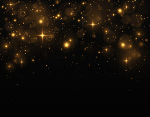 Fototapeta na wymiar Sparkling magical dust particles. The dust sparks and golden stars shine with special light on a black background. Christmas concept.